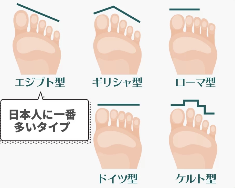 【トゥシューズの豆知識①：あなたの足は何型？】Ballet Studio Garden 　氷室友　矢島まい